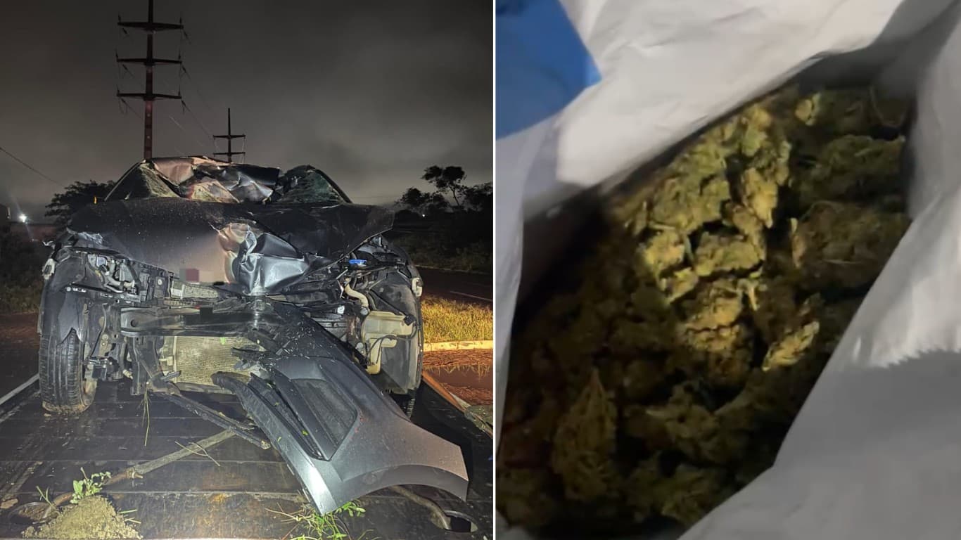 PRF apreende quatro quilos de skunk após acidente na BR-424 em Arcoverde