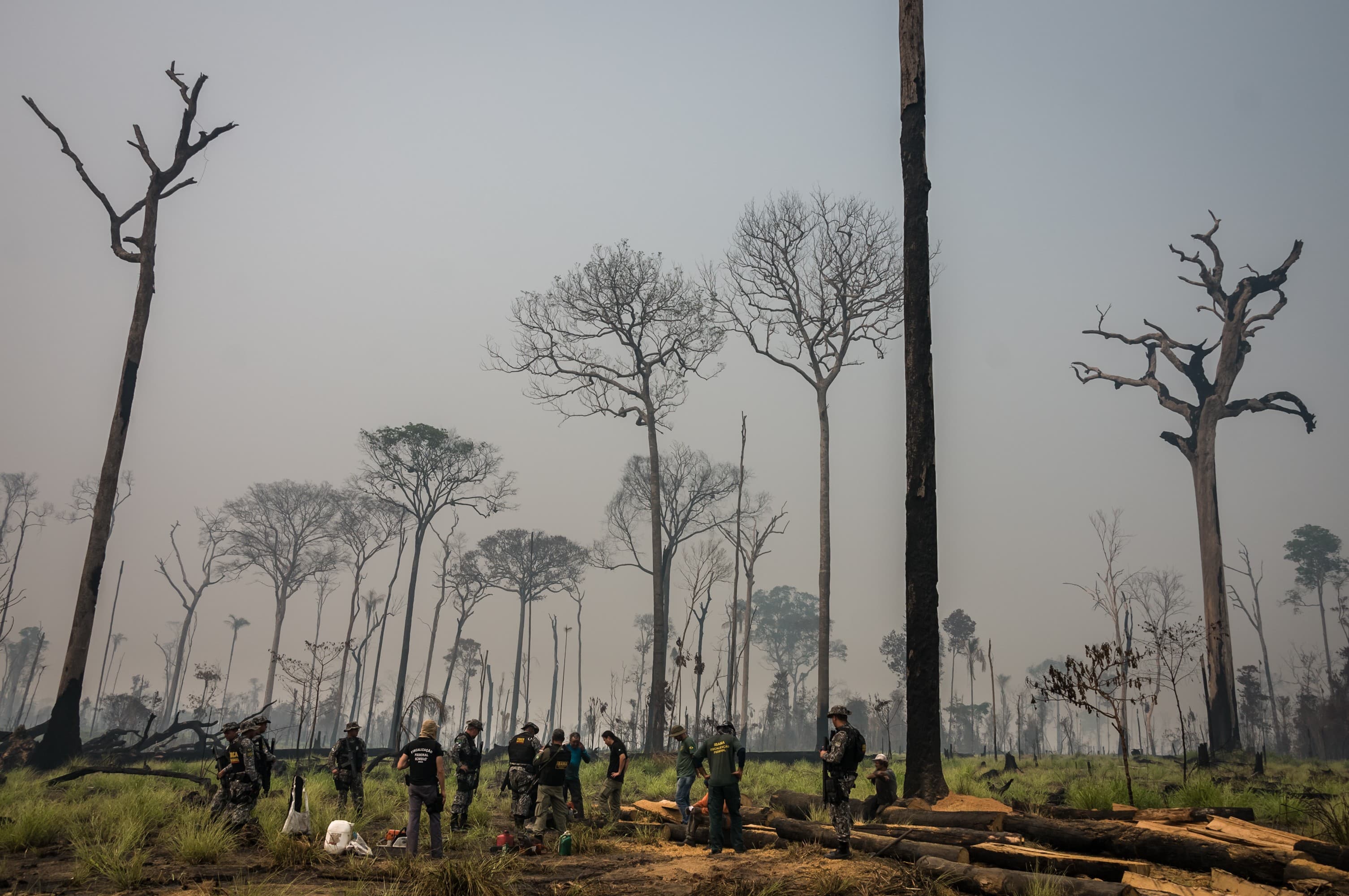 Câmara dos Deputados aprova redução da Floresta Nacional do Jamanxim em votação polêmica