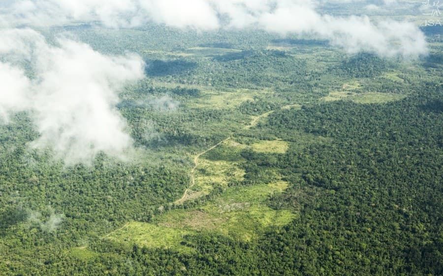 STF determina plano federal para retirada de invasores da Terra Indígena Cachoeira Seca